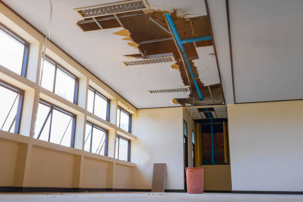 Best Water damage restoration services  in Pocono Woodland Lakes, PA