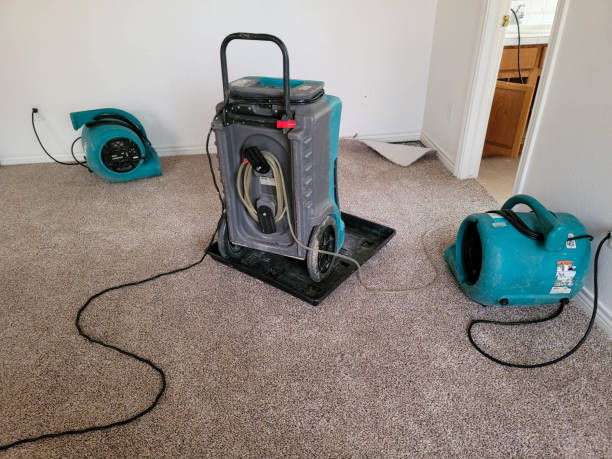 Water damage restoration experts in PA
