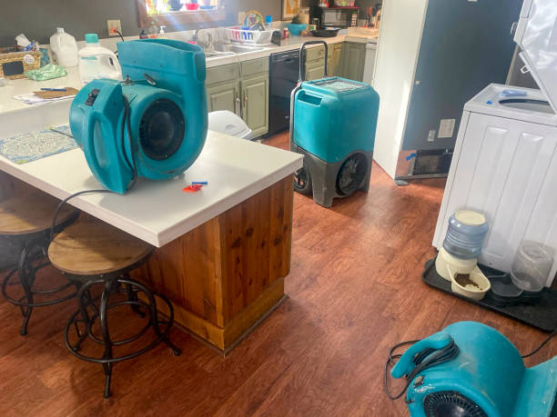 Best Water damage restoration experts  in Pocono Woodland Lakes, PA