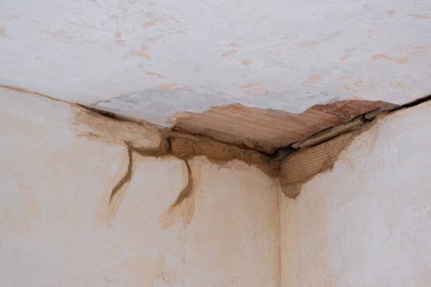 Best Sewage cleanup and water damage restoration  in Pocono Woodland Lakes, PA