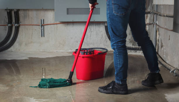 Best Professional water damage repair  in Pocono Woodland Lakes, PA