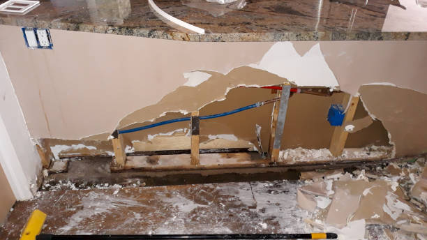 Best Water damage cleanup near me  in Pocono Woodland Lakes, PA