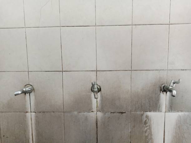 Best Carpet water damage restoration  in Pocono Woodland Lakes, PA