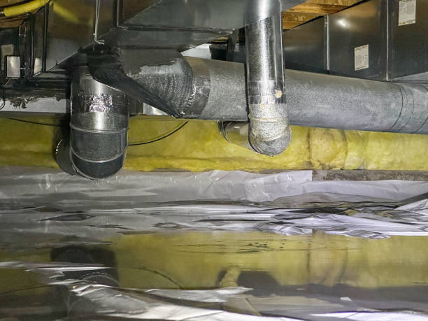 Best Local water damage restoration  in Pocono Woodland Lakes, PA