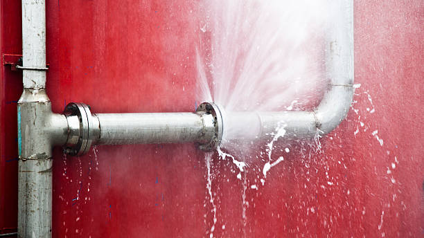 Best Water damage contractors near me  in Pocono Woodland Lakes, PA